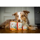 Hund Nassfutter Witwe Boltes Schrecken 200g 6 Stück -2- Anifit