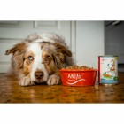Hund Nassfutter Falscher Hase 200g 6 Stück -3- Anifit