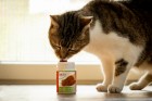 Cat Dog B.A.R.F. Snacks Supplements Meat-Flavour (Fleisch-Gewürz) 20g 1 Piece -5- Anifit